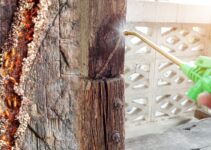 Why Most DIY Termite Solutions are a Waste of Time